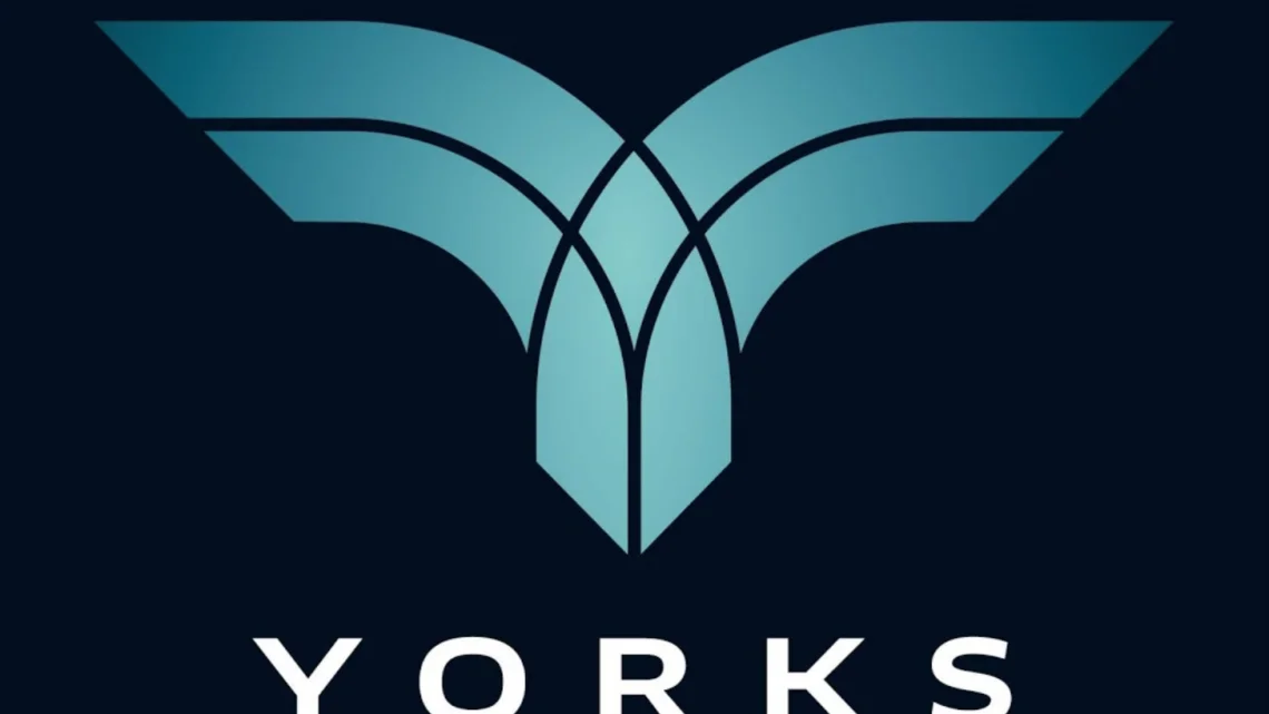 YORKS S1-Elite – Ein E Scooter der Spitzenklasse aus Deutschland