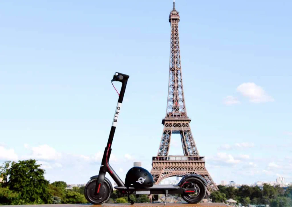 Bird Paris Eifelturm