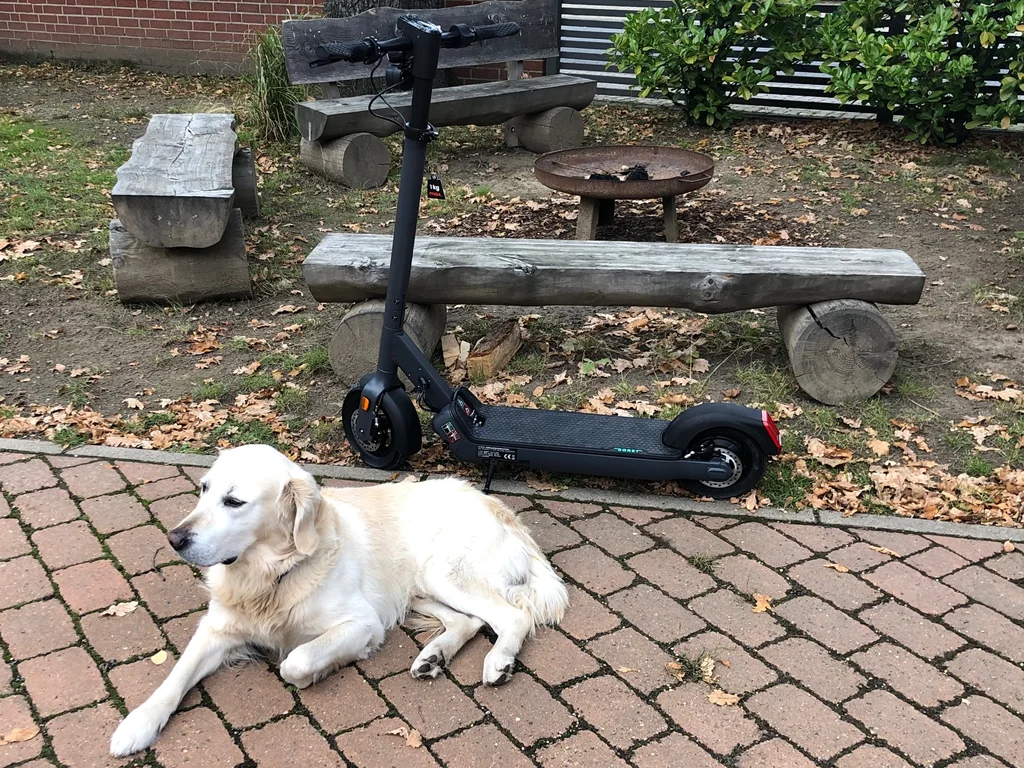 Egret Pro Mit Hund