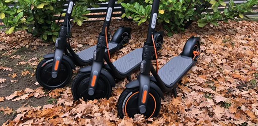 F Serie Herbst All 1