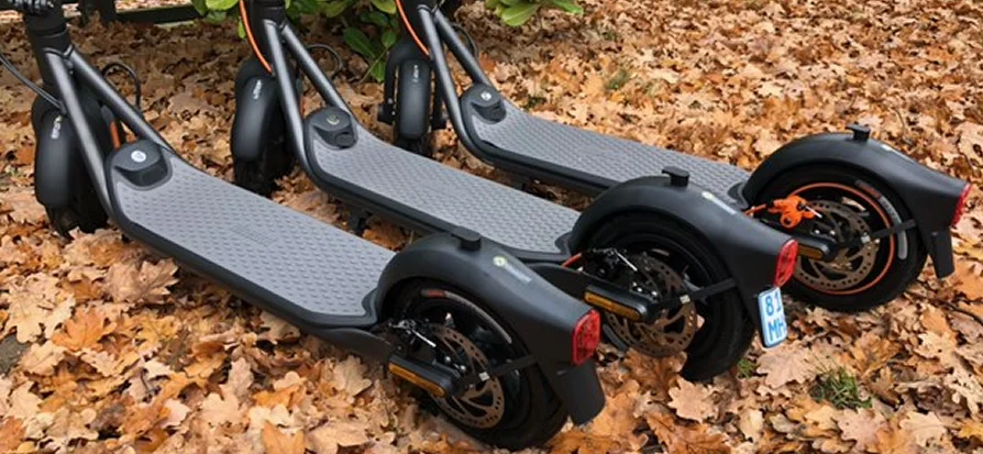 F Serie Herbst All 3